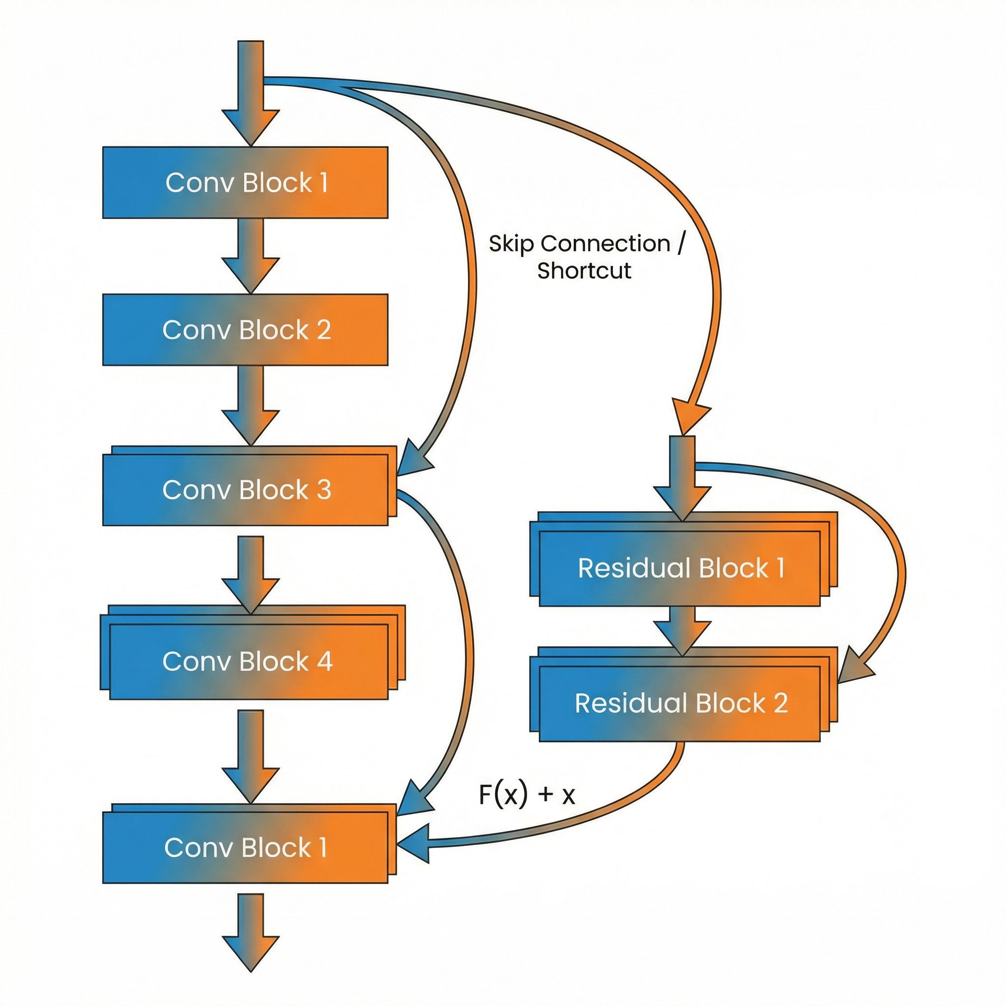 Skip connections in a residual network, showing how input bypasses layers and adds to output
